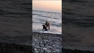 Ну хоть кто-то с нашего дома побывал в этом году на море-Буля теперь житель Сочи❤️ #питомниксобак