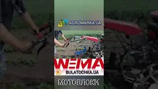 😲Коли ЗОЛОТІ руки і СВІТЛА голова, тоді і картопля ГАРНА вродить🥔.