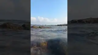 Море  - оно  такое....