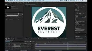 Collapse Transformations option for vector assets in AE