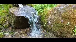 #Святой источник Святой источник возле деревни Ревякино