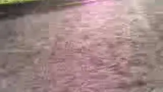 Jenny cantering Patch