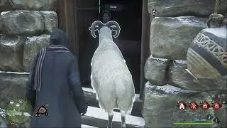 Hogwarts Legacy is Too Real | #hogwartslegacy #glitch
