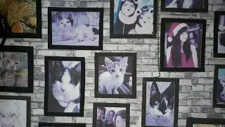 COMO HACER CUADROS DE FOTOS CON CARTON FACIL Y RAPIDO DESDE CASA