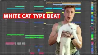 I wrote an anthem for my cat