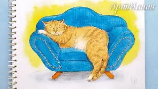 Спящий кот на диване - Рисунок акварелью и цветными карандашами - Процесс рисования