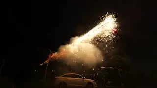 20230424533