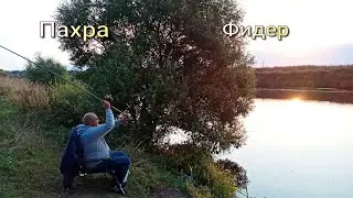 Рыбалка на фидер река Пахра