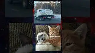 #memes