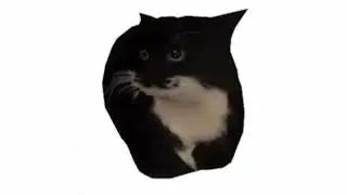 Maxwell Cat normal, reversed & x2 version