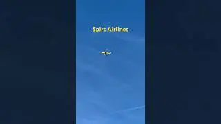 Spirit heading to Mitchell International #spiritairlines #plane #airplane #aviation #daily #fyp