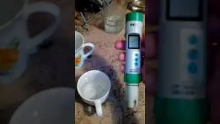 Проверка Коралла компании Аврора и Кораллового Клуба. 1.