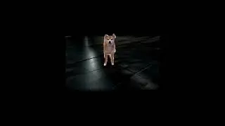 #funny
