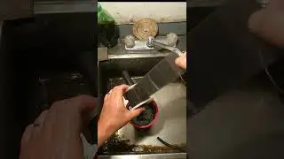 D-23 + Sodium Hydroxide + Stand Development
