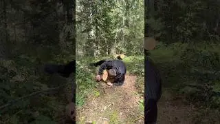 Скворечник своими руками