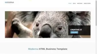WordPress theme Development  Class 5 part 1 Custom post and CMB2