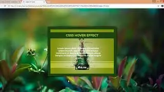 CSS HOVER- 02 CSS Zooming Effect on Hover Without Any Plugins
