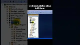 how to select data from a table in SQL Server using a simple SELECT statement