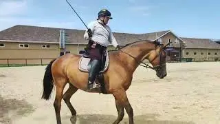 Серия 75 