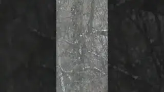 Такого снегопада...