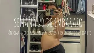 SEMANA 20 DE EMBARAZO🤰🏻🐣 | Síntomas, Ecografía, Movimientos Tomismos, Crecimiento barriga, etc