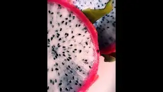 Fotografia de Objetos
