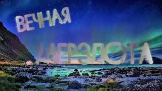 ВЕЧНАЯ МЕРЗЛОТА - СЕВЕРНЫЙ ПОЛЮС 2021 | Полярные медведи
