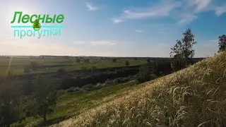 Землянка и родник, одиночный поход