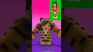 Build A CUTE NYAN CAT With 