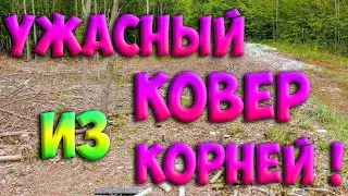 Избавиться от пней и удалить корни на заросшем дачном участке!