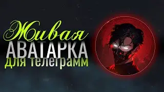 Как сделать анимированную аватарку для ТЕЛЕГРАММ?