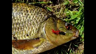 Hybrid worm | making & fishing