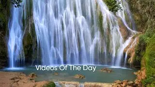 My Videos Of The Day