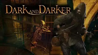 ТОП 100  ДРУИД // ОСВАИВАЕМ БИЛД ЧЕРЕЗ КОТА в #darkanddarkerlive