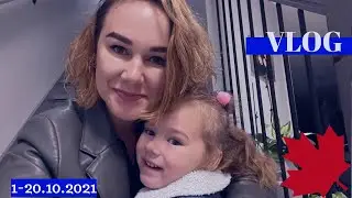 VLOG(1-20.10.21): В первый раз в первый сад