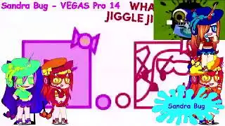 round 53 vs 