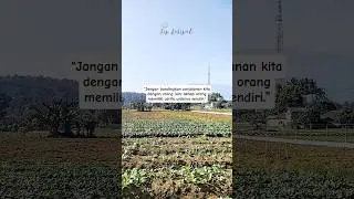 Jangan Bandingkan #quotes #motivasi #katakatabijak #shortsvideo #shorts #short #quote #sukses