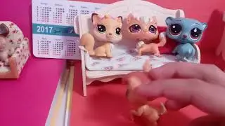 Петы играют в 