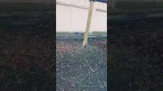 что делает мобилизованный в армии
