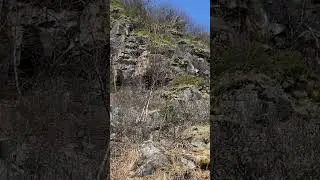 Восторг от природы на Кольском #нахлыст #fishing #рыбалка #2024 #топ #flyfishing