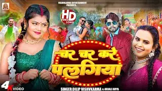 # #vairl #video # न्यु लोक गीत 2024 ए ननदो के भईया #dilip Vishwakarma