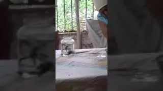 Исцеление  после колдовского вмешательства.