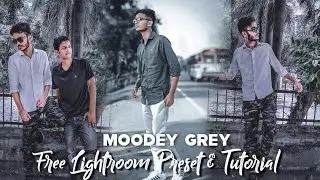 Moodey Grey Tone Loghtroom Preset Editing | Free Lightroom Preset | Grey Lightroom DNG | Cam On Sam