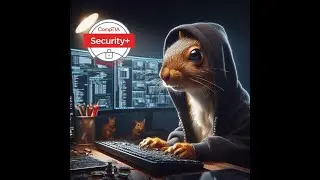 Hacker Squirrel Attempts the CompTIA SY0-701