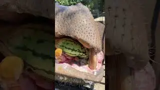 Hippo keeper