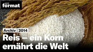 Reis – ein Korn ernährt die Welt (2014)