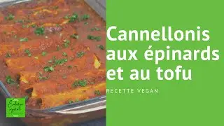 Cannellonis aux épinards et au tofu