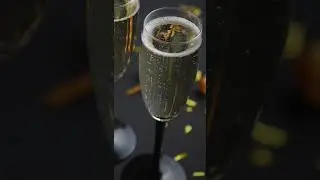 Video Footage Champagne Glass Bubbles | Free Download