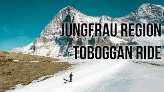 Jungfrau region - toboggan ride