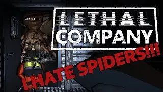 Never taunt a TARANTULA...